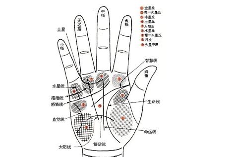 祖庇紋|「這7種手面相」偏財運超旺！天生受財神爺眷顧 有機會一夜致富。